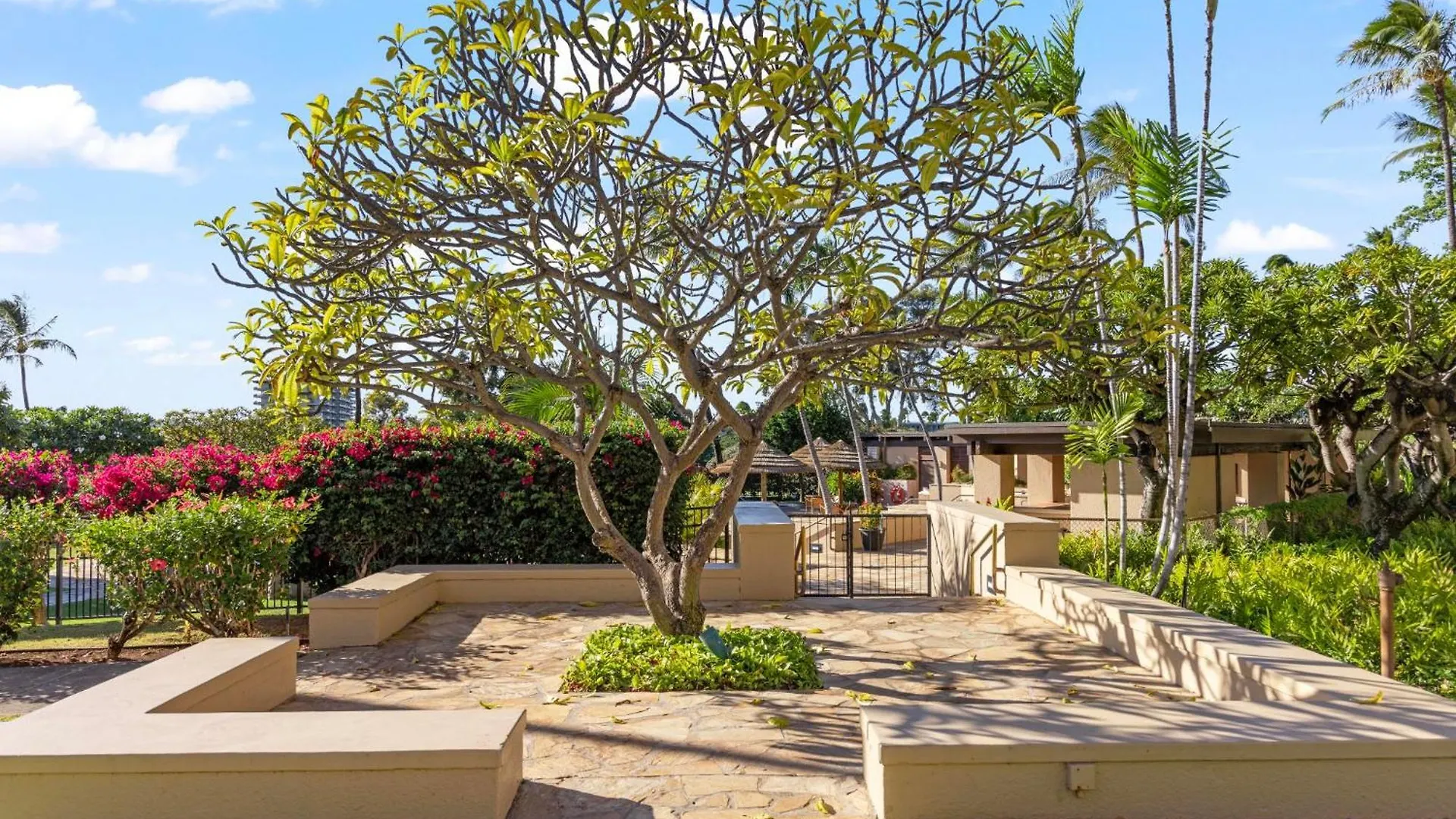 Ocean Bliss Awaits - Spacious Lanai - Outdoor Grill - Golf Course Views Lahaina 0*,